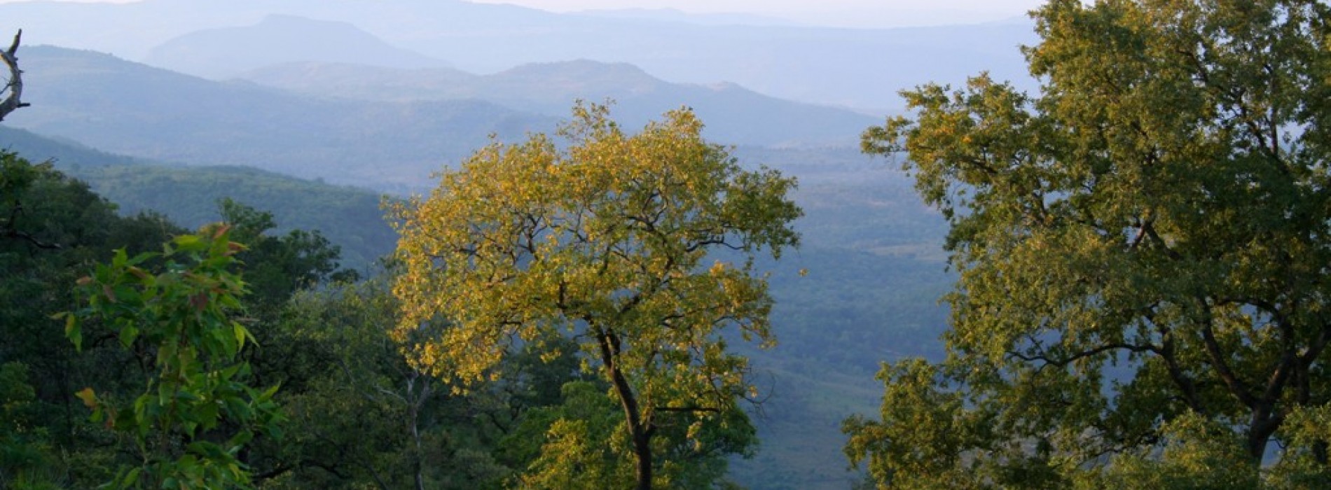 Pachmarhi Madhya Pradesh’s most verdant jewel