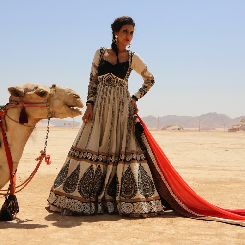 Safe and Secure Jordan hosts a galaxy of Indian Tele-Calendar stars!