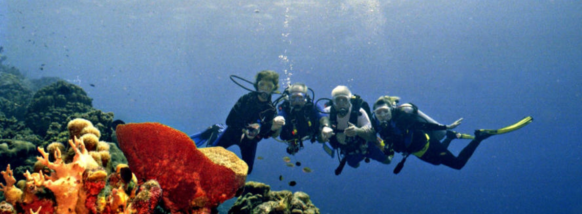 Famous Island Reefs and Diving Spots Across the World