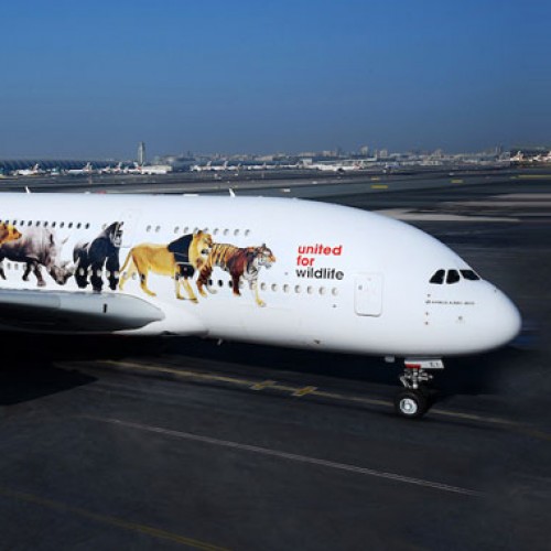 Emirates’ super jumbo message against illegal wildlife trade
