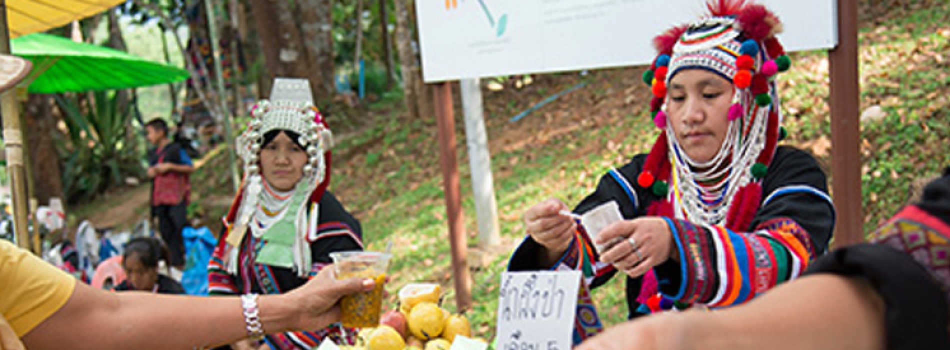 Colors of Doi Tung returns to the mountains of Chiang Rai for the second year