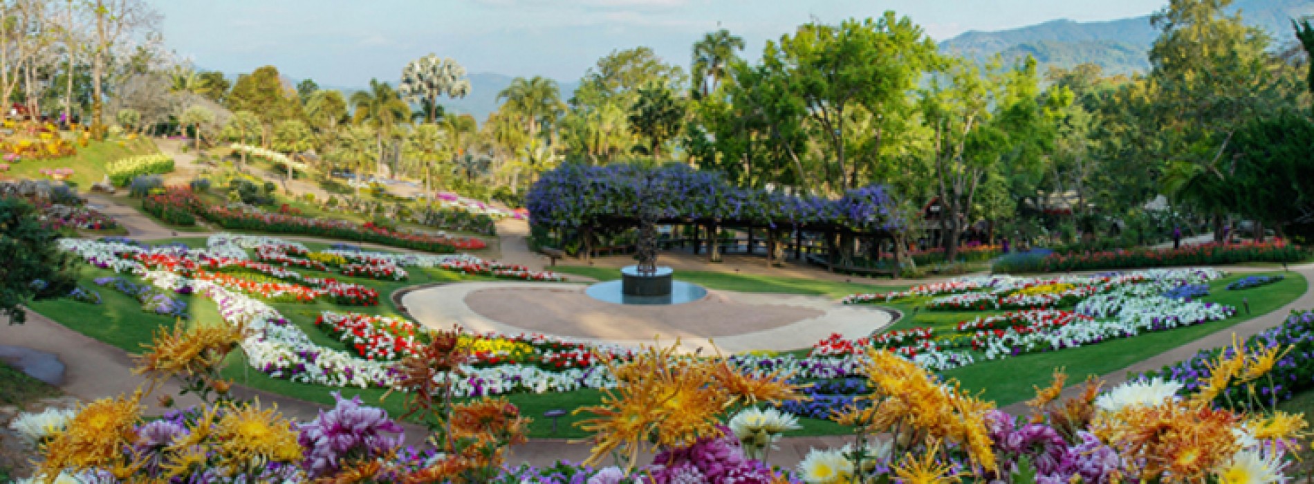Colors of Doi Tung returns to the mountains of Chiang Rai for the second year