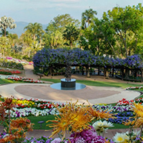 Colors of Doi Tung returns to the mountains of Chiang Rai for the second year