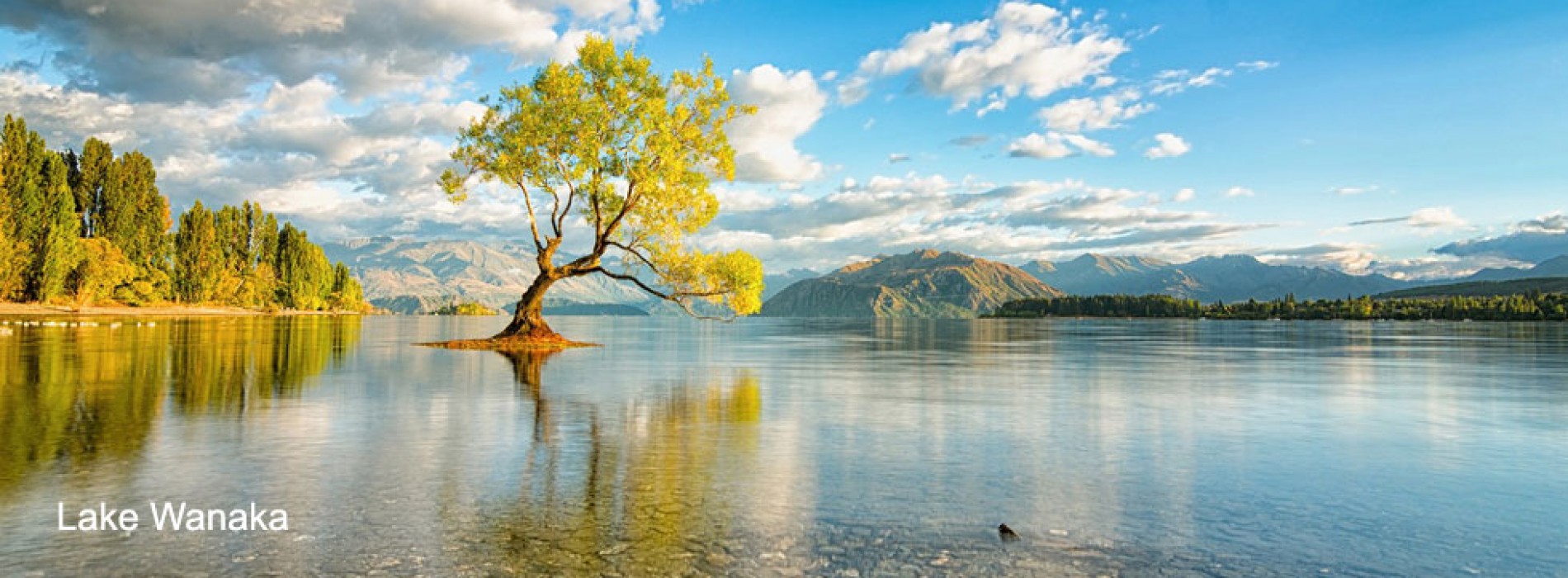 Most Shared Spots in New Zealand on Instagram in 2015