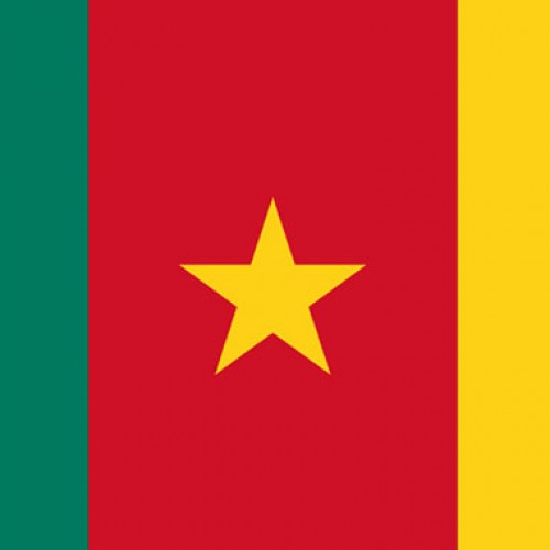 Cameroon Visa