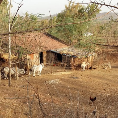 Bhagoria’s colourful myriad hues