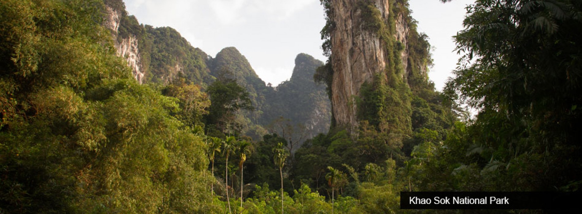 Exploring the Beauty of Amazing Thailand