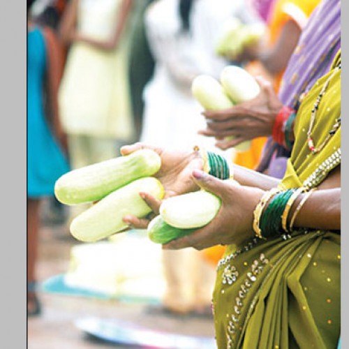 Head to Goa for Touxeachem Fest or Cucumber Feast