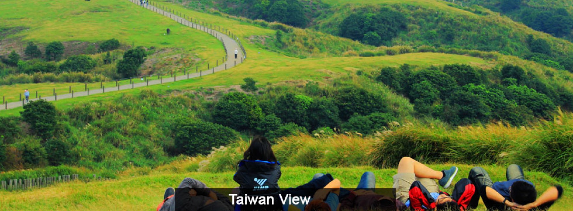 Brew a cup of aromatic tea in Taiwan