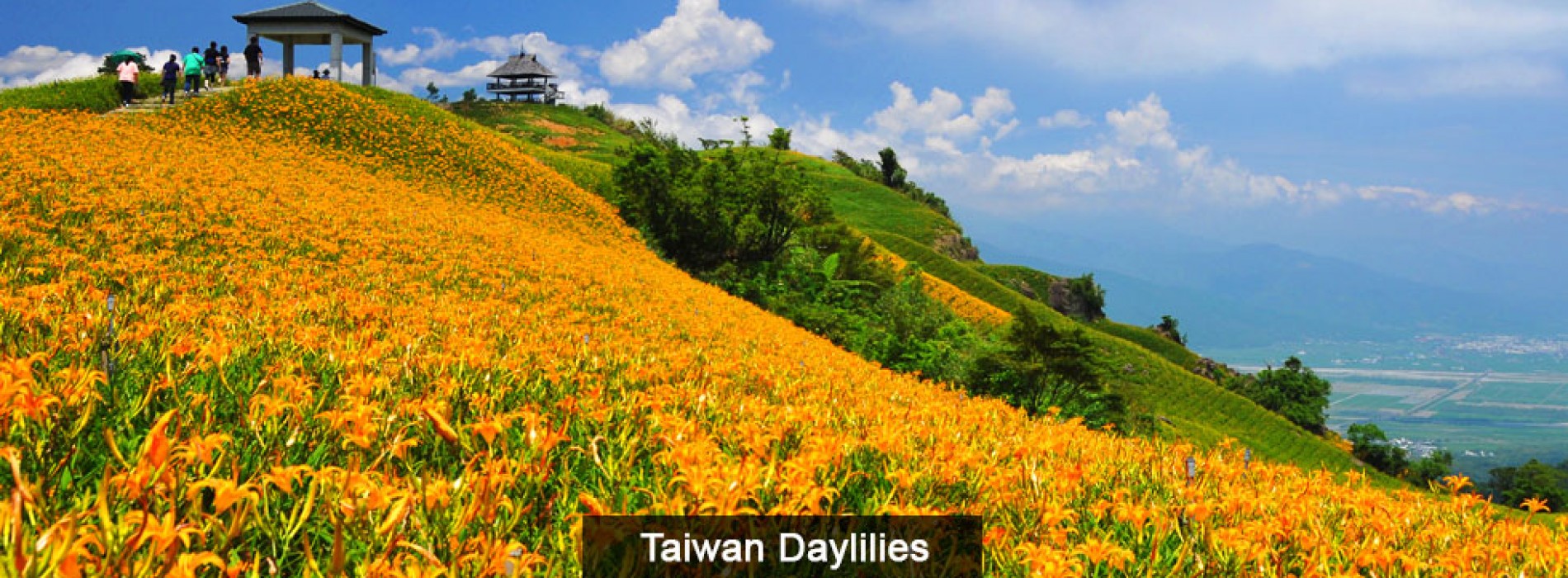 Best things to do while visiting Taiwan