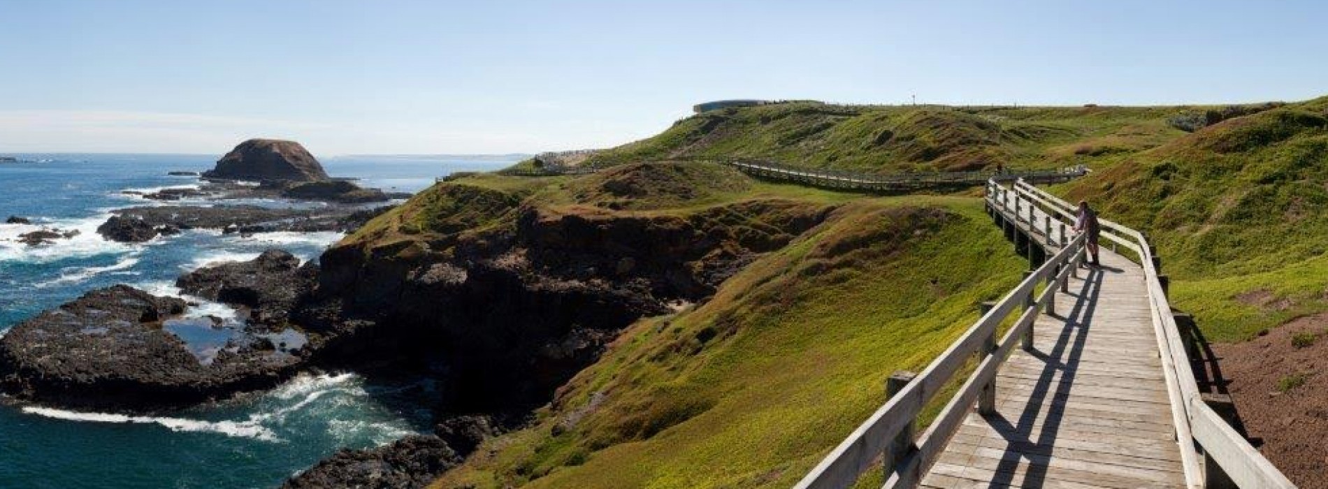 Top 8 reasons to visit Phillip Island