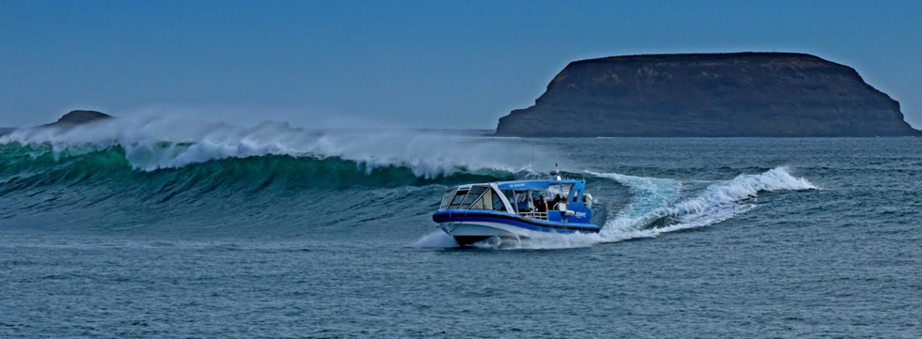 Top 8 reasons to visit Phillip Island