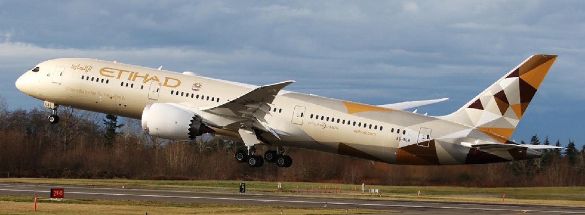 Etihad Holidays launches in India