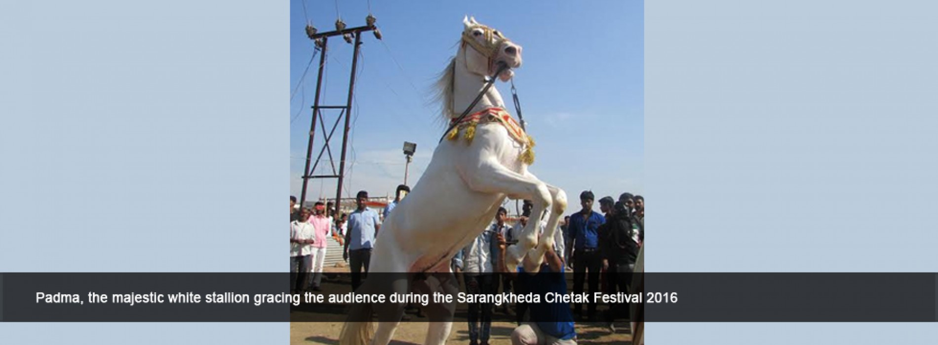 Colours came alive at the Sarangkheda Chetak Festival 2016