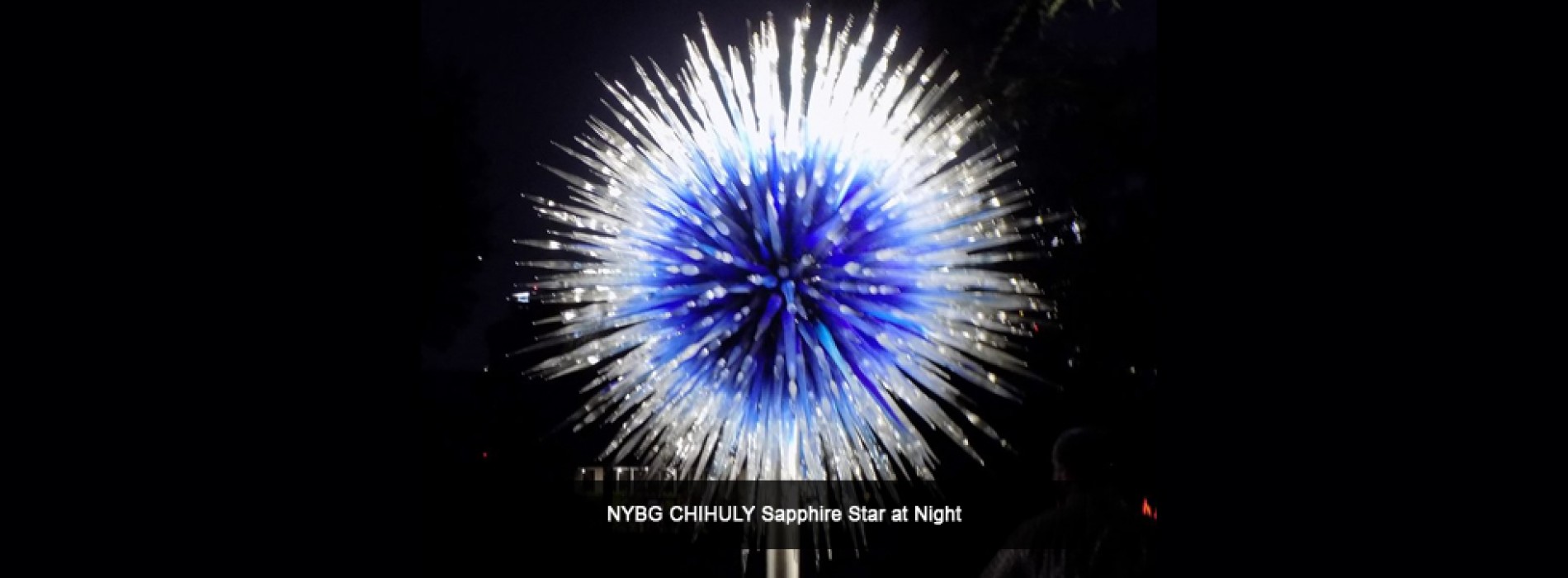 New and exciting CHIHULY experience to debut in New York in Spring 2017