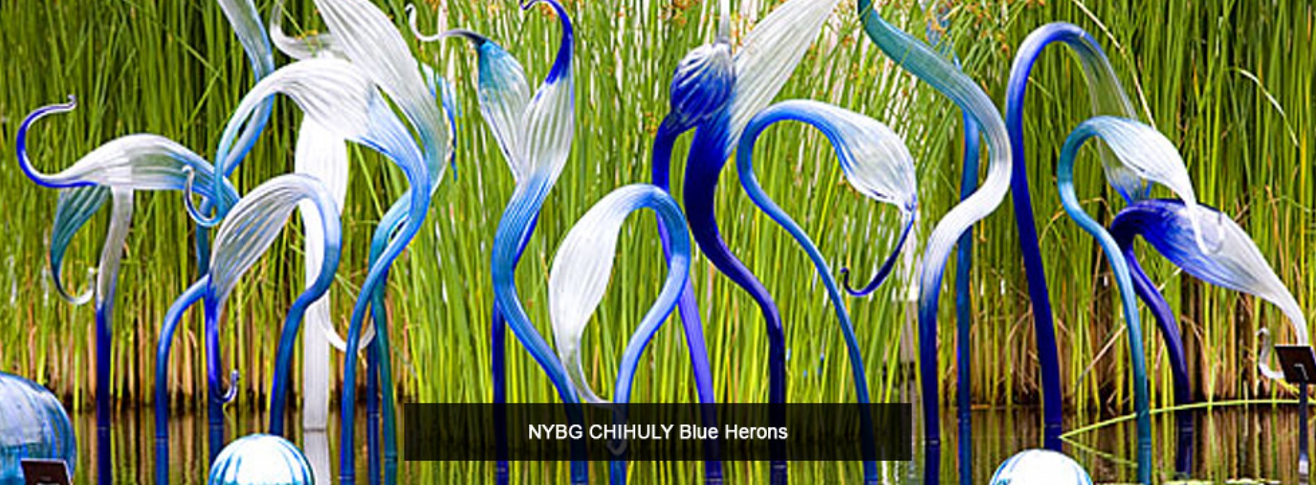 New and exciting CHIHULY experience to debut in New York in Spring 2017