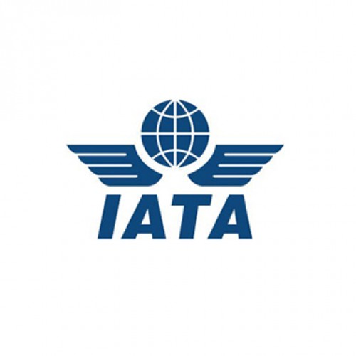 India’s 2016 domestic passenger traffic up more than 23%: IATA