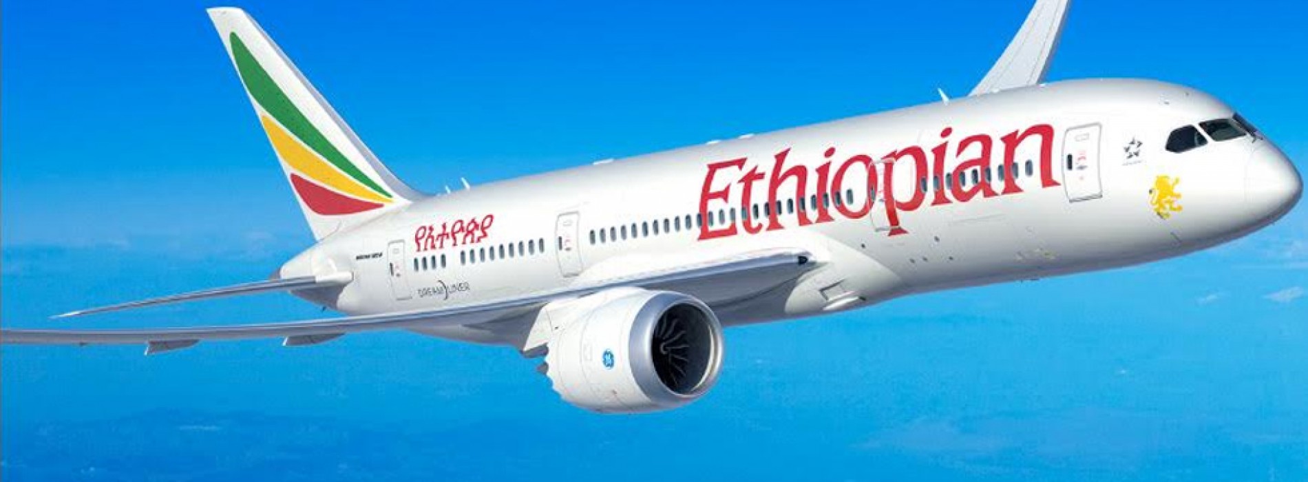 Ethiopian Airlines wins ‘Cargo Airline Award for Network Development’ at Brussels