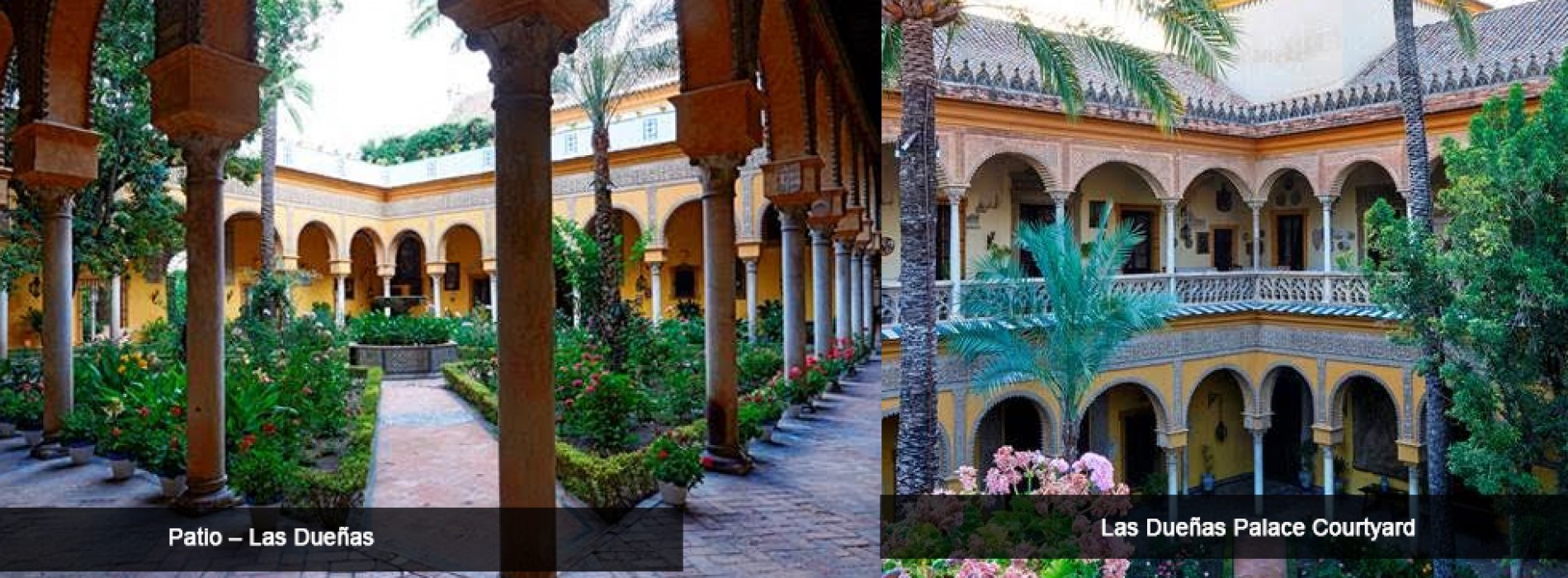 Palacio de las Dueñas – Home of a Seville Icon