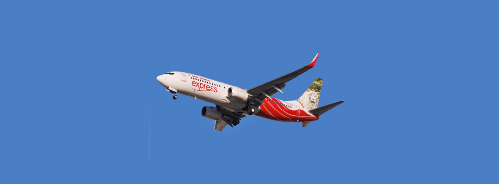 Air India Express plans fleet expansion, eyes more overseas routes