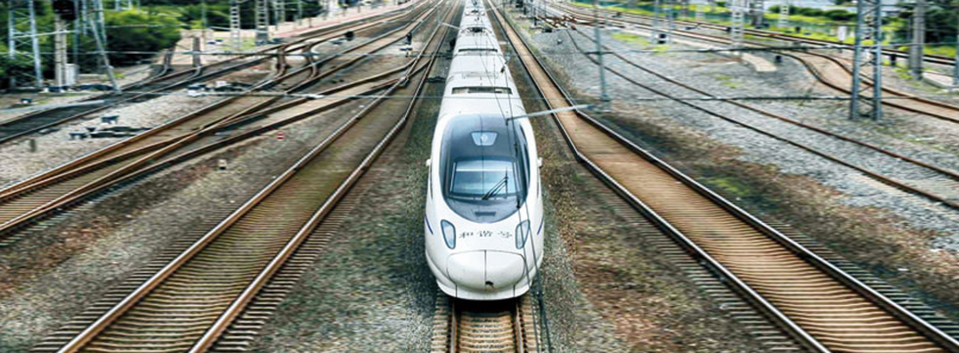 Bullet train plan gains speed