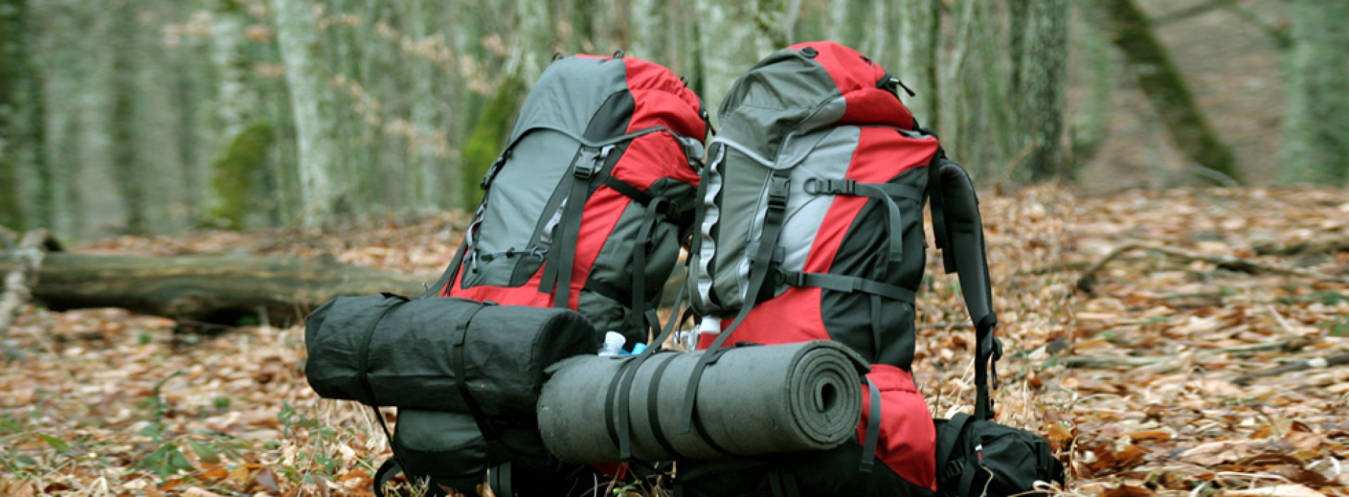 Backpacks or Suitcase, which is better for a traveller?