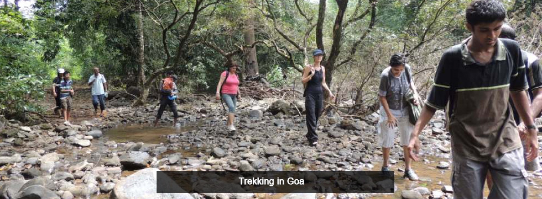 Eight exquisite things to do in Goa in the eighth month of the year 2017