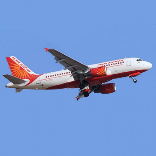 Bird Group wants to fly off with Air India’s ground-handling arm