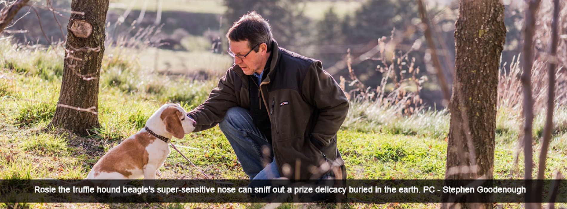 North Canterbury truffles no longer underground