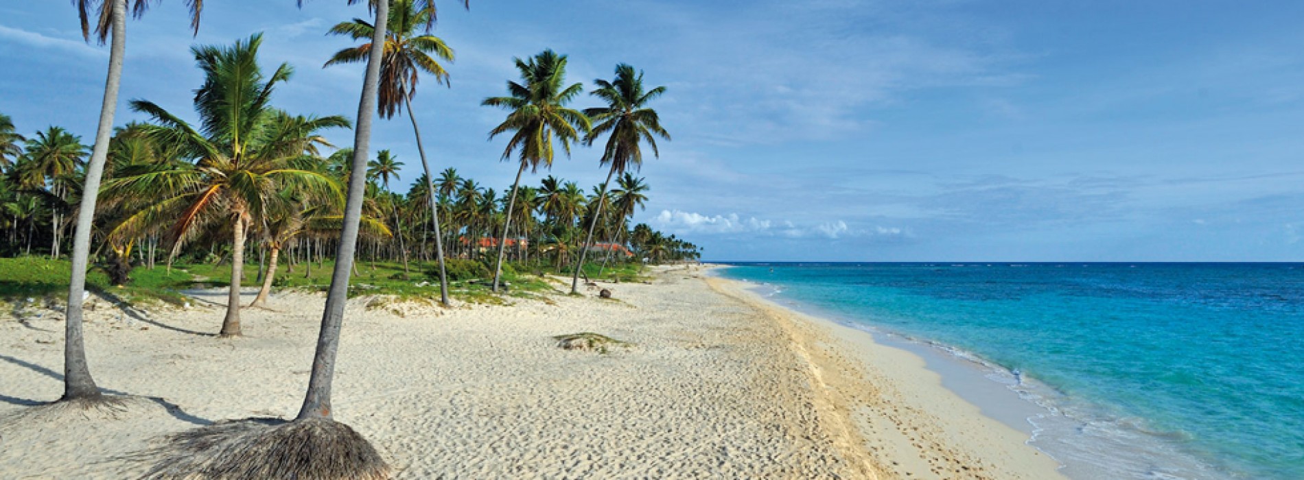 Dominican Republic: a nature’s gem in the Caribbean