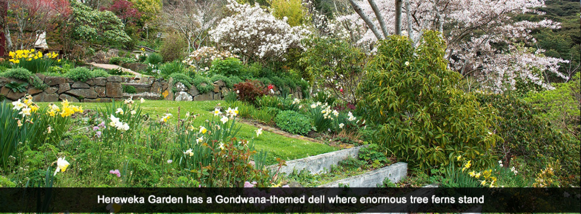 Solitude and sanctuary in the glorious gardens of Aotearoa NZ