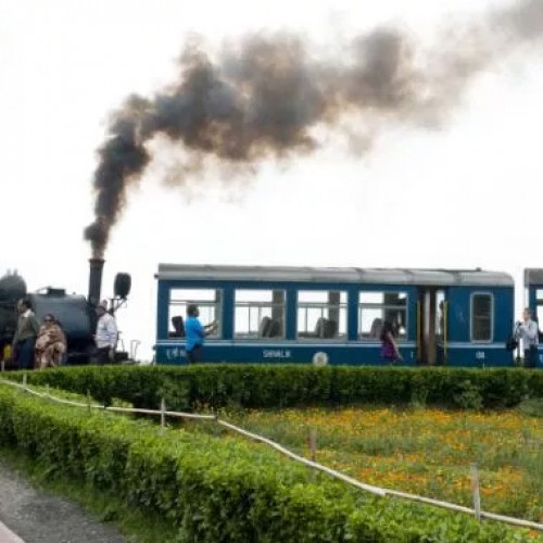 Darjeeling toy train starts chugging again