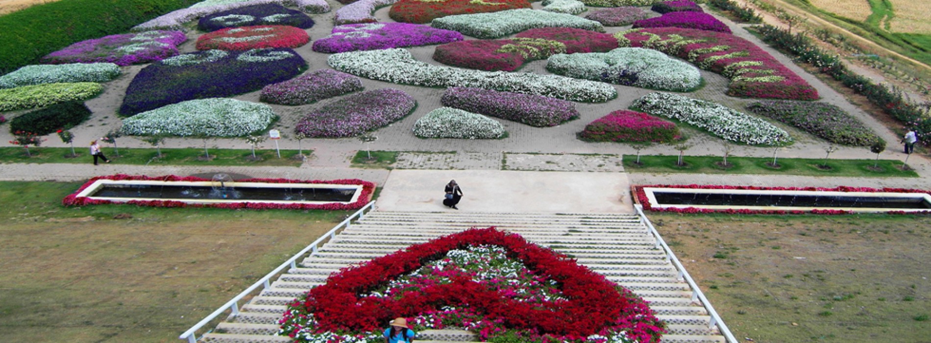 Thailand’s Flora Park Festival welcomes visitors with flower displays and floral spectacles