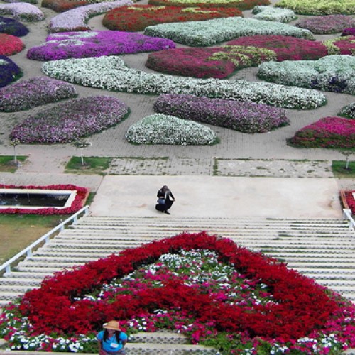 Thailand’s Flora Park Festival welcomes visitors with flower displays and floral spectacles