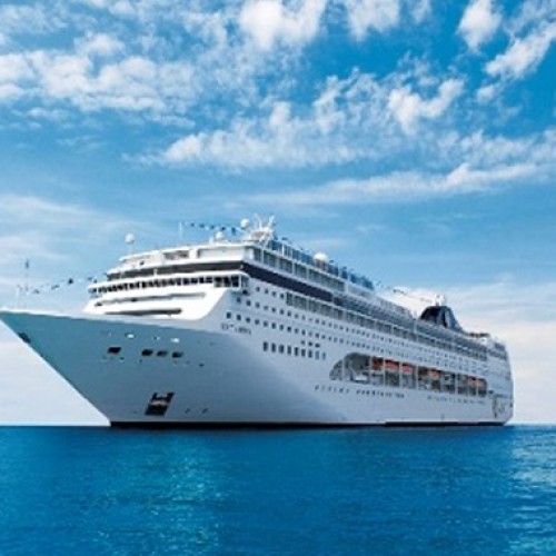 ‘Ease policies, improve infra to develop cruise tourism’