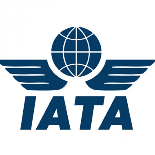 India, China leading domestic passenger growth: IATA