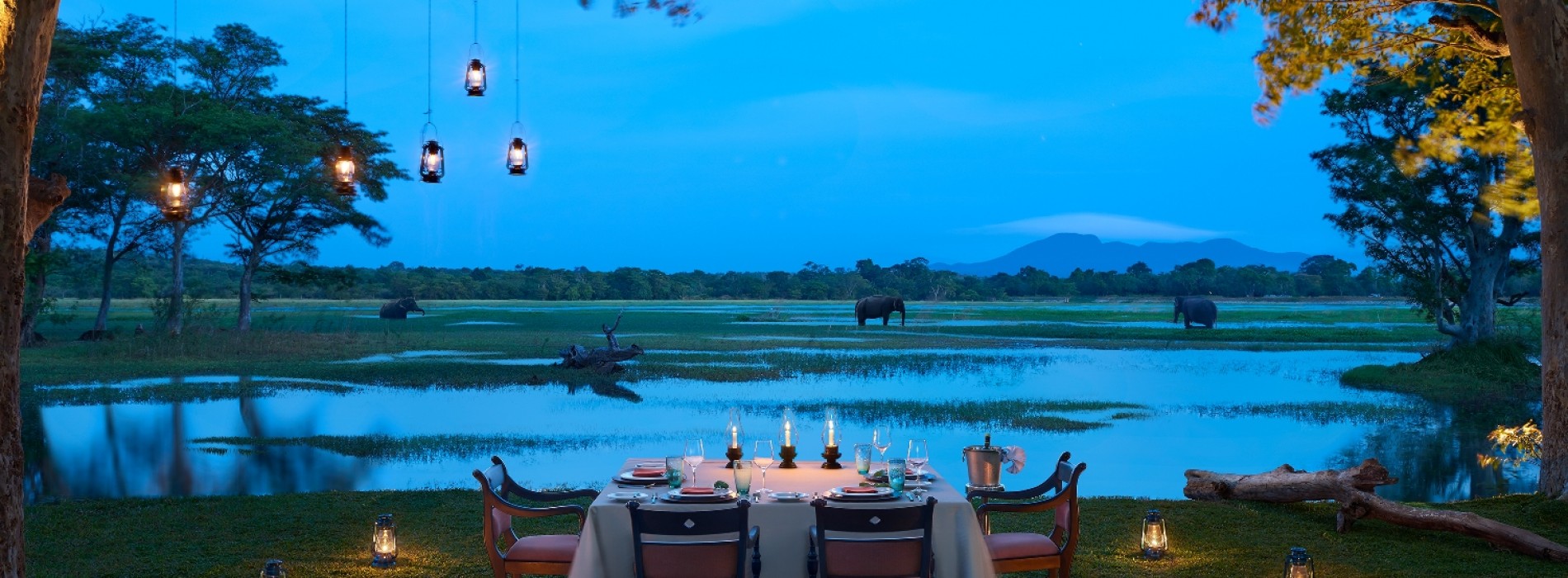 Cinnamon Hotels & Resorts launches a luxury wedding service for destination weddings in Sri Lanka