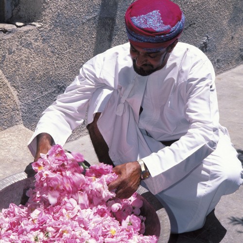 Visit Jabal Akhdar in Oman for a rose-inspired experience