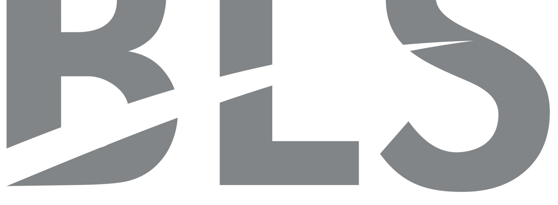 BLS International registers exponential growth for FY 2018