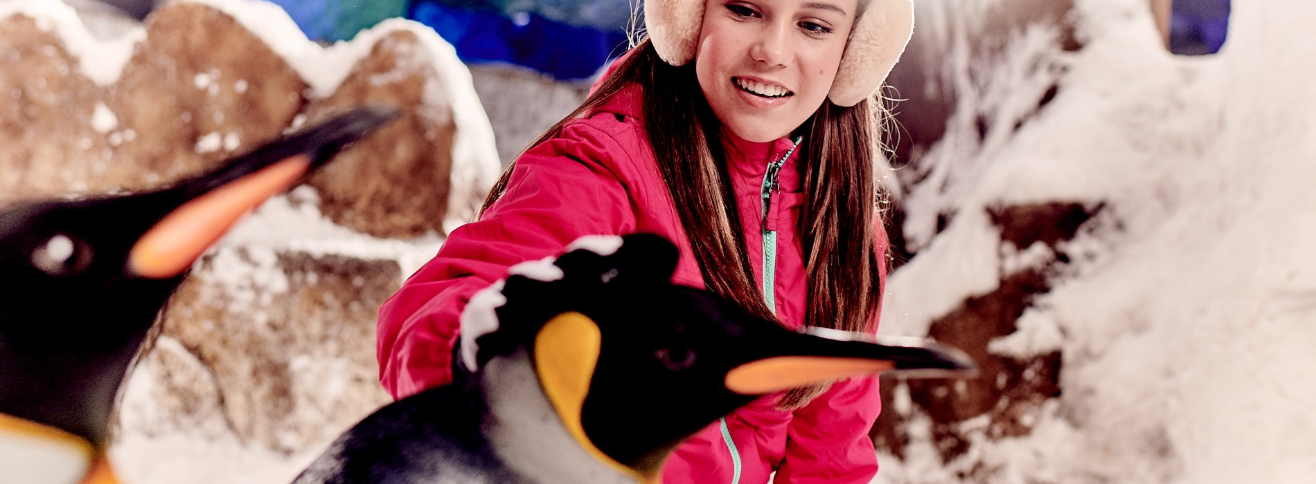 Ski Dubai celebrates over Six Years of Snow Penguins