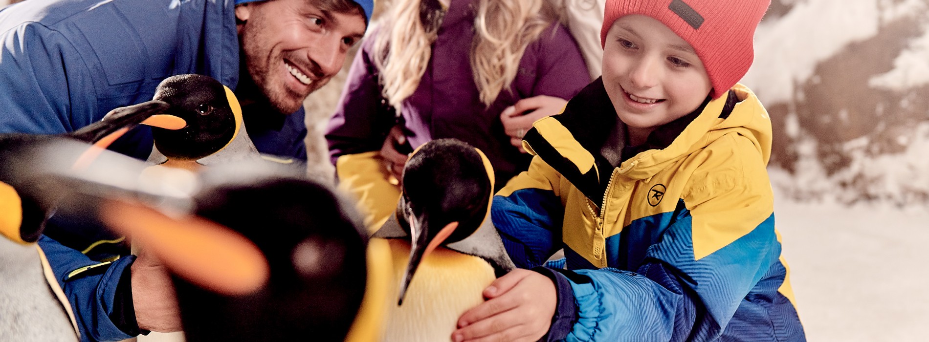 Ski Dubai celebrates over Six Years of Snow Penguins