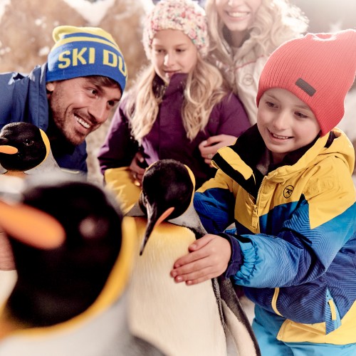 Ski Dubai celebrates over Six Years of Snow Penguins