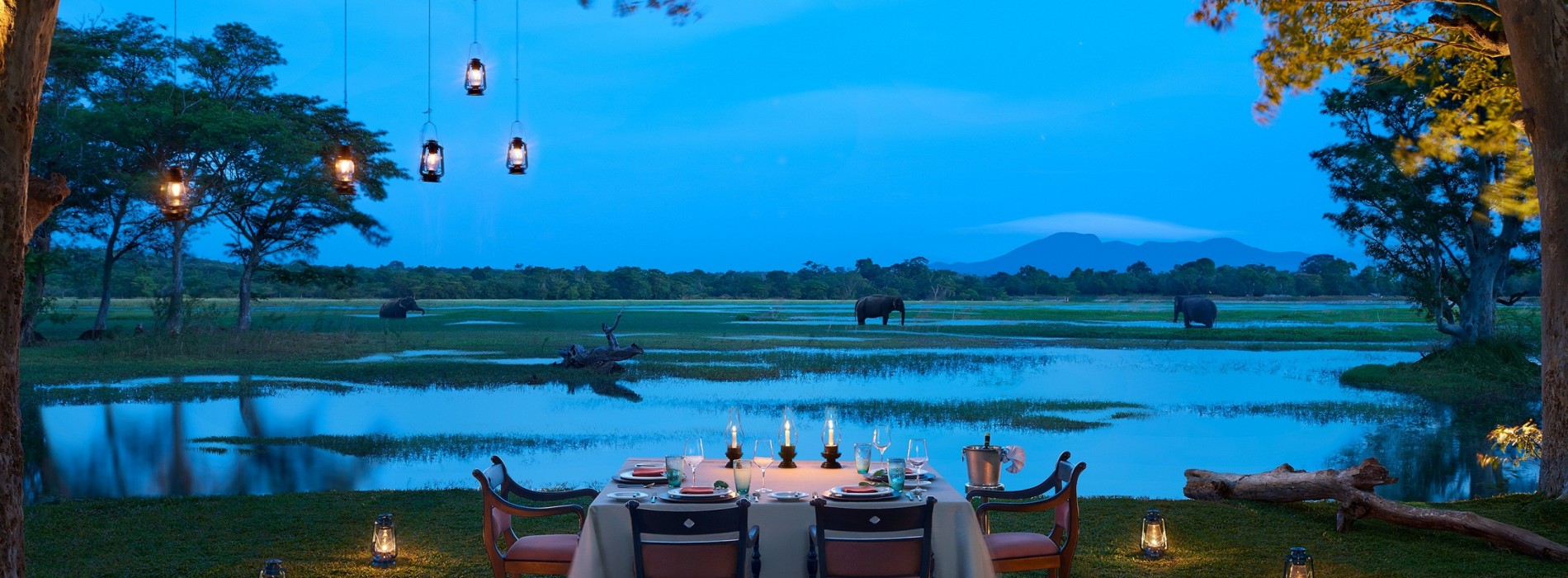 Cinnamon Hotels & Resorts offers unique experiential summer gateways in Sri Lanka