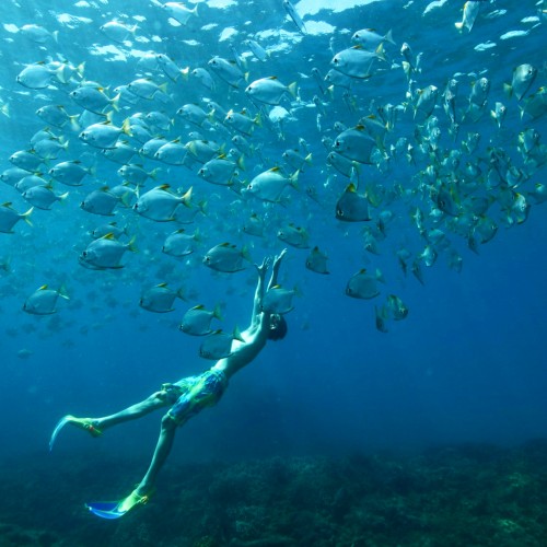 Discover a snorkelling haven with Cinnamon Nature Trails in Pigeon Island
