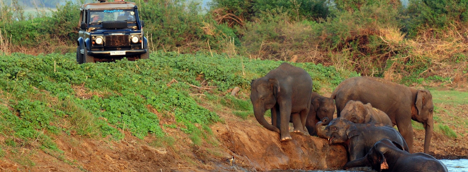 Cinnamon Hotels & Resorts offers unique experiential summer gateways in Sri Lanka