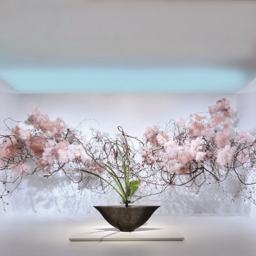 Monaco welcomes Japanese Ikebana