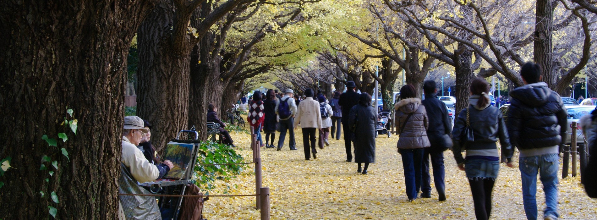 Fall in love with the very best of Autumn in Japan