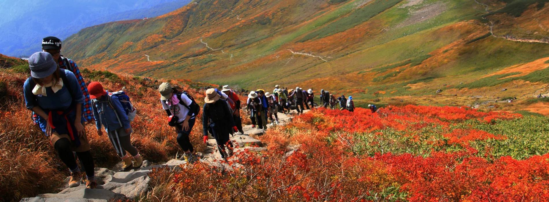 Fall in love with the very best of Autumn in Japan