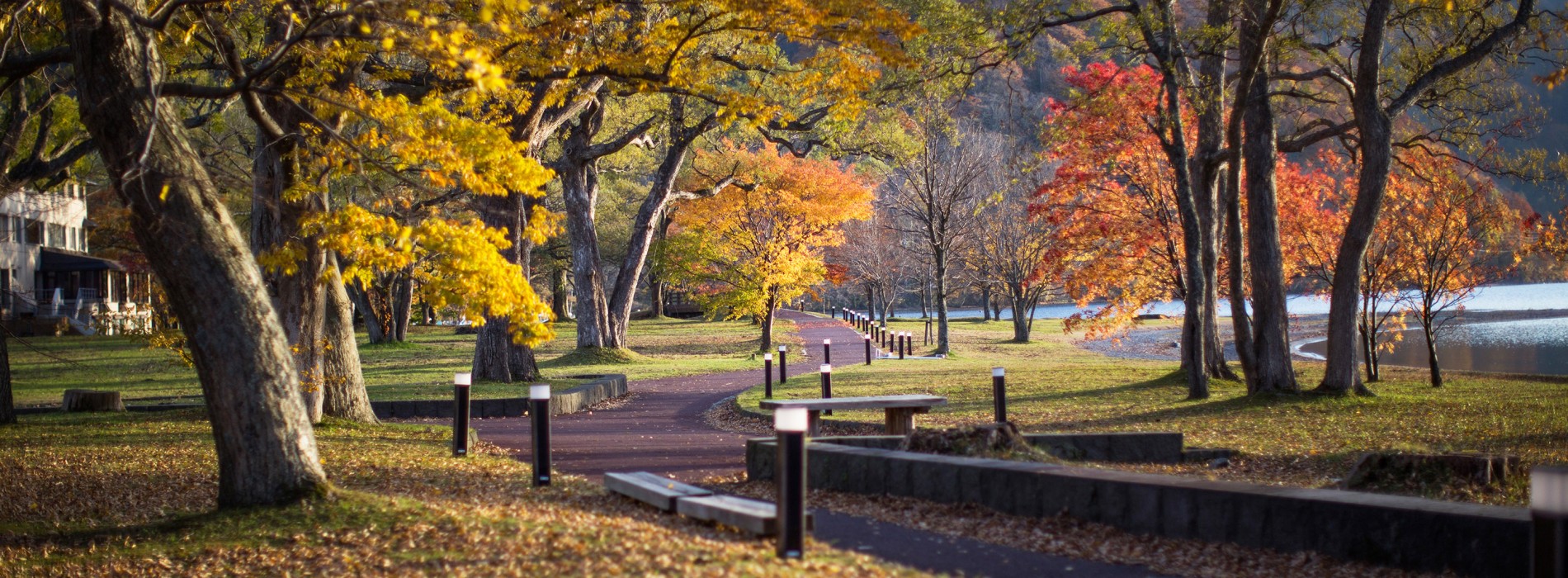 Fall in love with the very best of Autumn in Japan