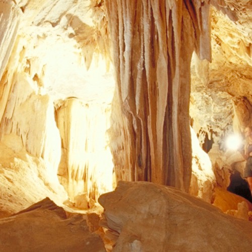 Explore the iconic Al Hoota Caves in Oman